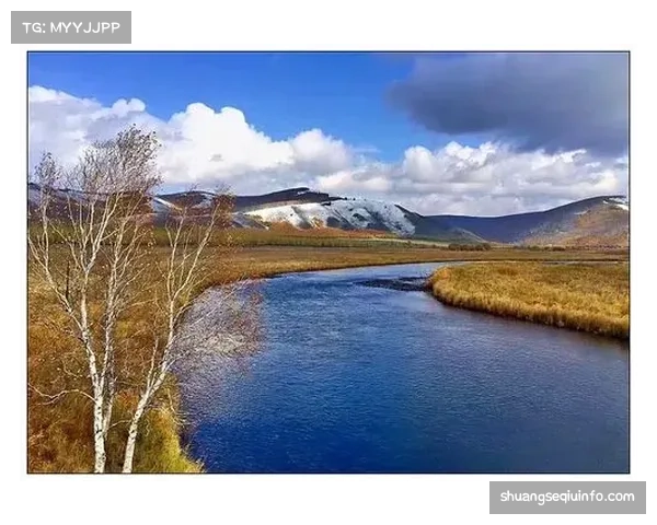 观点:商业化与业余精神的平衡——论NCAA冰球运动员的“姓名、形象和肖像权”收入